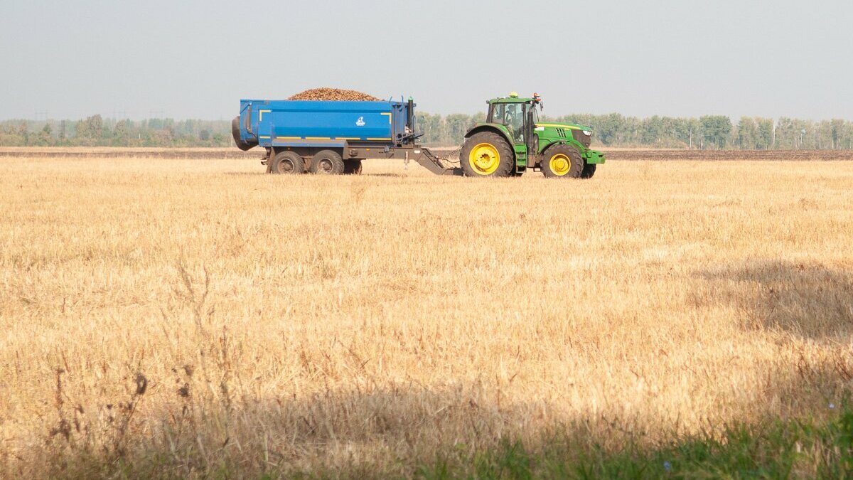 агропромтехника сельхозтехника. новый трактор кировец 2020. малком агро коптево. тракторист-машинист сельскохозяйственного производства. сельхозтехника нью холланд.