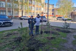 Воспитанники подростковых клубов высадят более 350 деревьев в рамках акции «Сад памяти»