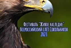 Под Мичуринском пройдёт фестиваль соколиной охоты «Живое наследие»