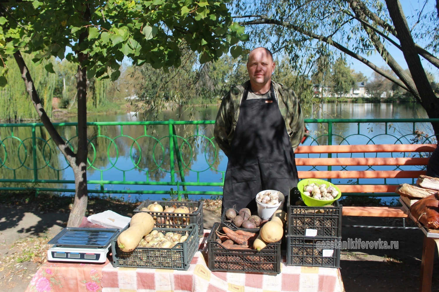 Никифоровские овощеводы и их продукция