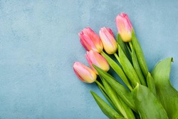 К 8 марта готовы: в Тамбовской области вырастили 700 тысяч тюльпанов