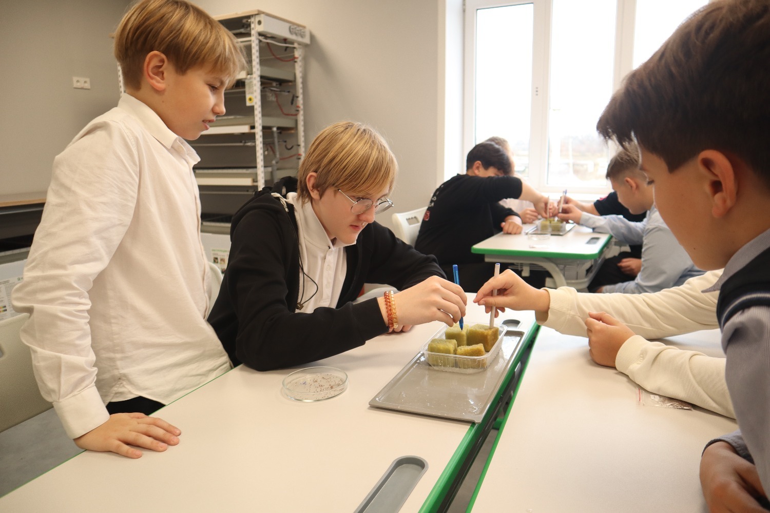 Фото: Валентина Сергованцева