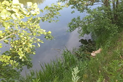 Пожилой житель Липецкой области утонул в реке в Мичуринском районе