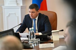 Законодательные новеллы оградят жителей Тамбовщины от агрессии бездомных собак