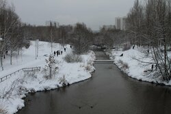В Тамбове решат проблему подтопления жилых домов на берегу реки Студенец