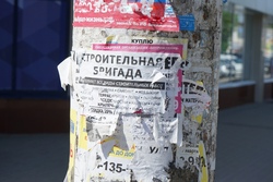 Тамбовчан штрафуют за расклейку объявлений в общественных местах
