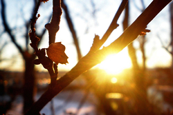Мороз и солнце — тамбовская весна в разгаре
