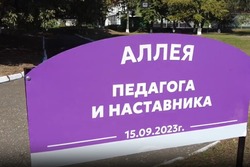 Аллею педагога и наставника высадили в тамбовском центре образования