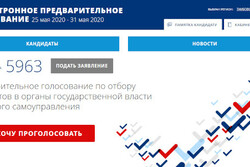 Что нужно знать тамбовчанам о предварительном голосовании «Единой России»?