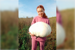 В Петровском районе нашли гриб весом 7 кг