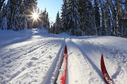 Тамбовчан приглашают на массовую гонку «Державинская лыжня»