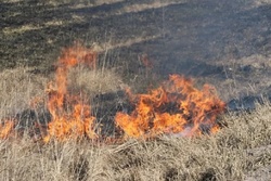 Шесть тамбовских сельхозпредприятий лишились субсидий за нарушение правил пожарной безопасности