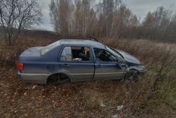 В Тамбовском районе женщина на иномарке опрокинулась в кювет