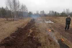 Тамбовские лесники проводят контролируемое выжигание сухой растительности 