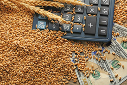 Тамбовская область по итогам 2020 года экспортировала продукцию АПК в 72 страны