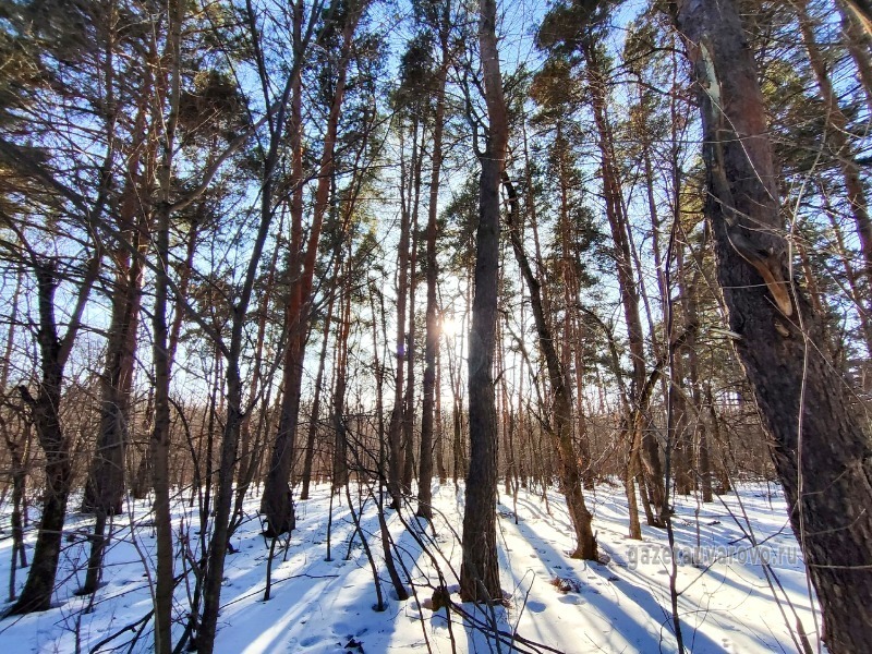 погода точная на 3 дня уварово. погода в тамбове. погода в тамбове на 3 дня. вишневый сквер город уварово. погода в хабаровске сегодня сейчас.