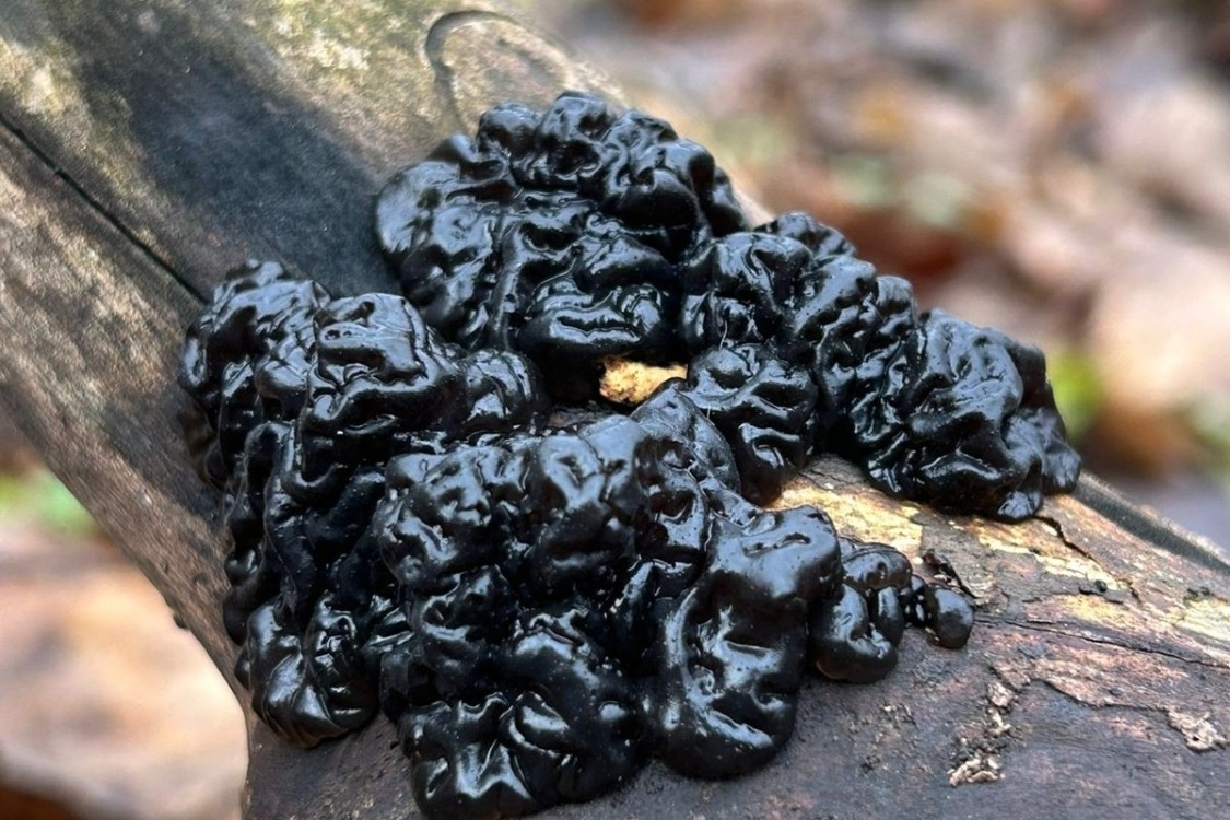 Фото: Артем  Сукаленко 