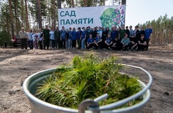 В Тамбовском округе заложили «Сад памяти» из 9000 молодых сосен 