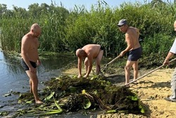 Моршанцы самостоятельно очистили пляж на реке Цне