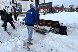 В Тамбове студенты расчистили от снега территорию жд вокзала