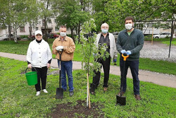 В Тамбове волонтёры благоустроят дворы ветеранов и тружеников тыла по 80 адресам