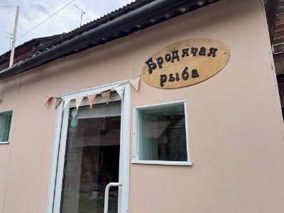 В Тамбов снова приплыла «Бродячая рыба»