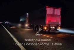 В Никифоровском МО жертва трёх наездов скончалась до приезда скорой помощи