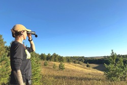 В Тамбовской области стартовал проект по возрождению популяции соколов 