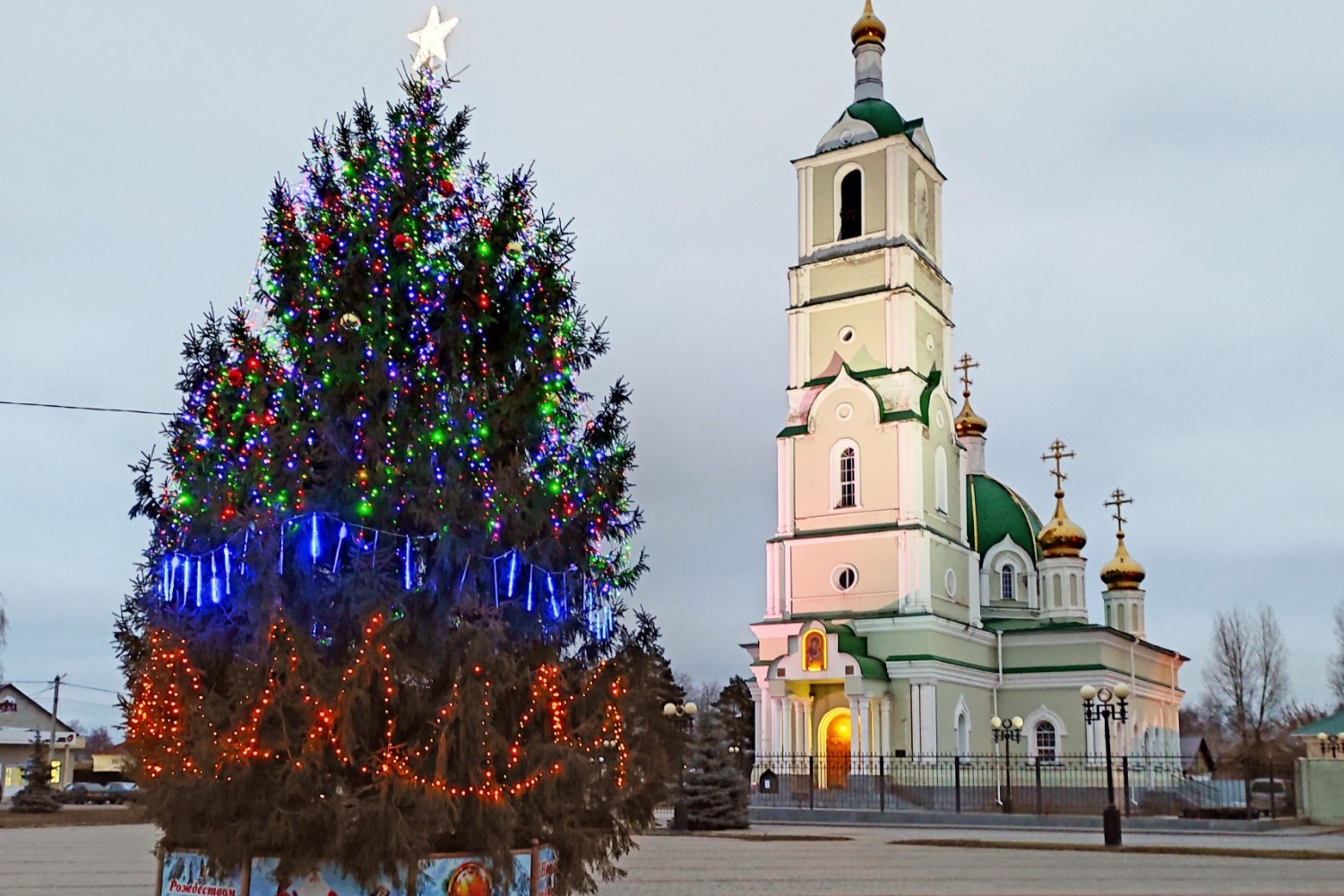 Главная ёлка Мучкапского района. Новогоднее дерево райцентру подарил местный житель Сергей Набережнев.