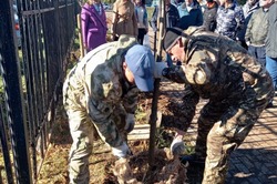 «Зеленый пояс Тамбова» расширился: высадили 50 новых деревьев 