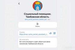 В Тамбовской области начал работу чат-бот по вопросам поддержки участников СВО