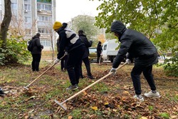 В Тамбове определят лучшие волонтерские объединения 2024 года