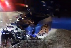 В Ржаксинском округе автомобиль сбил лося: водитель в тяжёлом состоянии