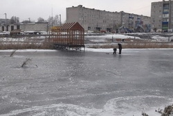 В Уваровском пруду дали воздух белому амуру