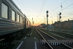 Более 500 воронежских животных путешествовали на поездах без хозяев