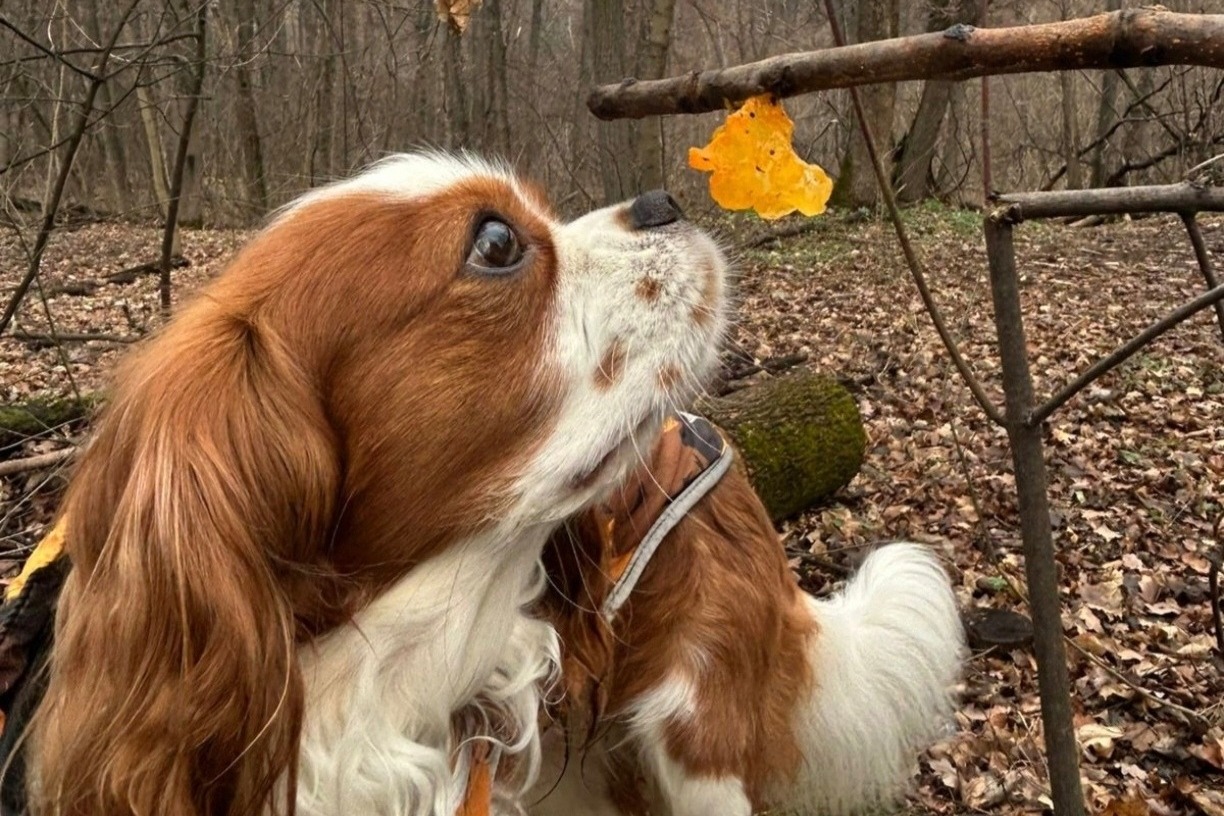 Фото: Артем  Сукаленко 