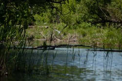 В заповеднике «Воронинский» откроют туристический сезон в конце апреле 