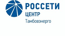Специалисты «Тамбовэнерго» готовы к работе в условиях непогоды