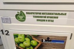 В Мичуринске открыли интеллектуальную лабораторию для хранения плодов и ягод