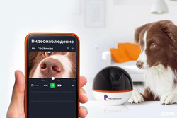 Готовь сани летом, а камеры — осенью: тамбовчане приобретают видеонаблюдение в канун больших каникул