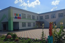 Детсад в Тамбовской области оштрафовали после падения ребенка из окна