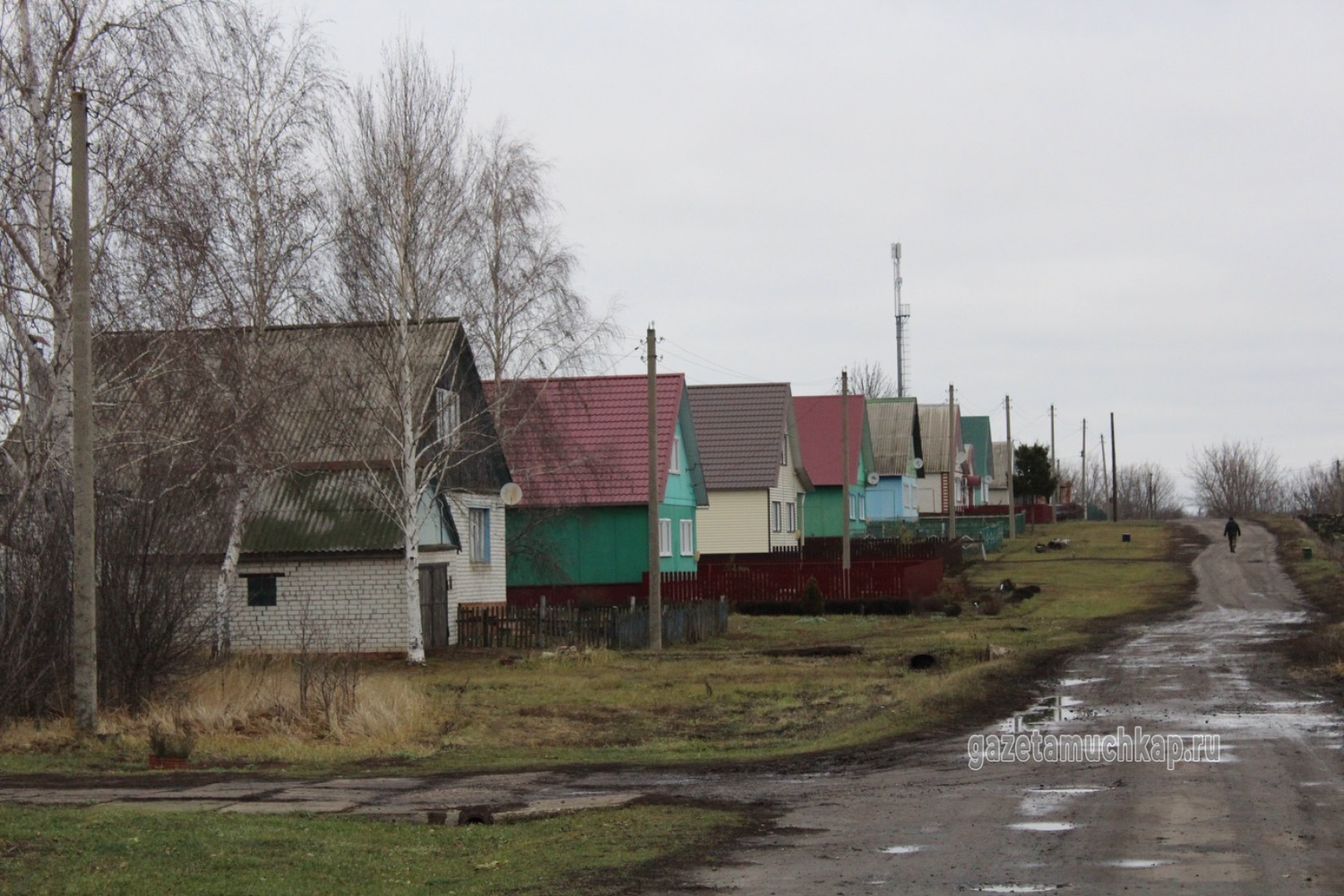 Коттеджные дома в Новосельцах