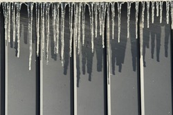 Весна спешит в Тамбов с потеплением