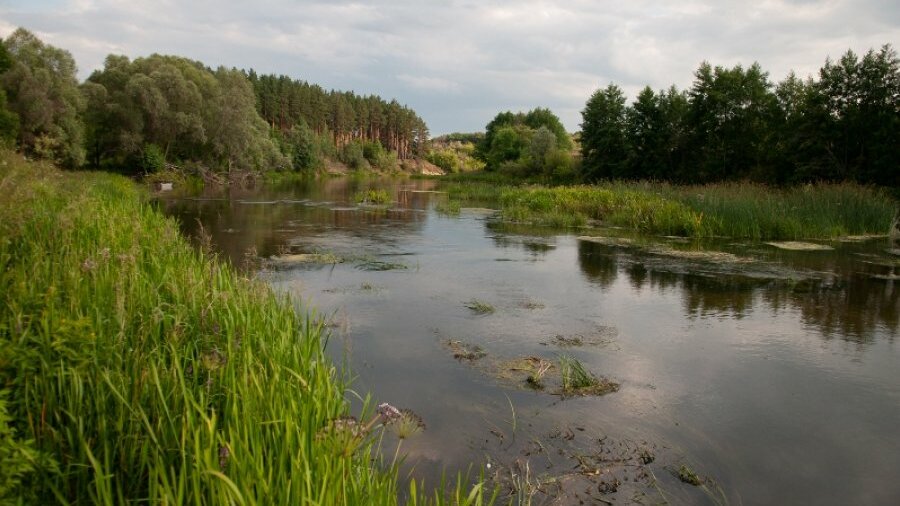 Богатства тверской области. Водные ресурсы Московской области. Водные ресурсы Балашихи. Водные ресурсы Выборга. Водные ресурсы Пензенской области.