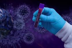 Тамбовчане смогут получить сертификаты на основании теста на антитела к COVID-19