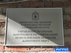 Разрешения на охоту теперь можно получить по новому адресу 