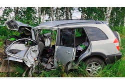 В Тамбовской области водитель умер за рулём на глазах у своих детей