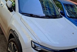 Тамбовчанин оплатил штраф только после ареста автомобиля