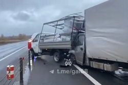 В ДТП в Мичуринском округе погиб водитель, ремонтирующий свою сломанную «Газель»