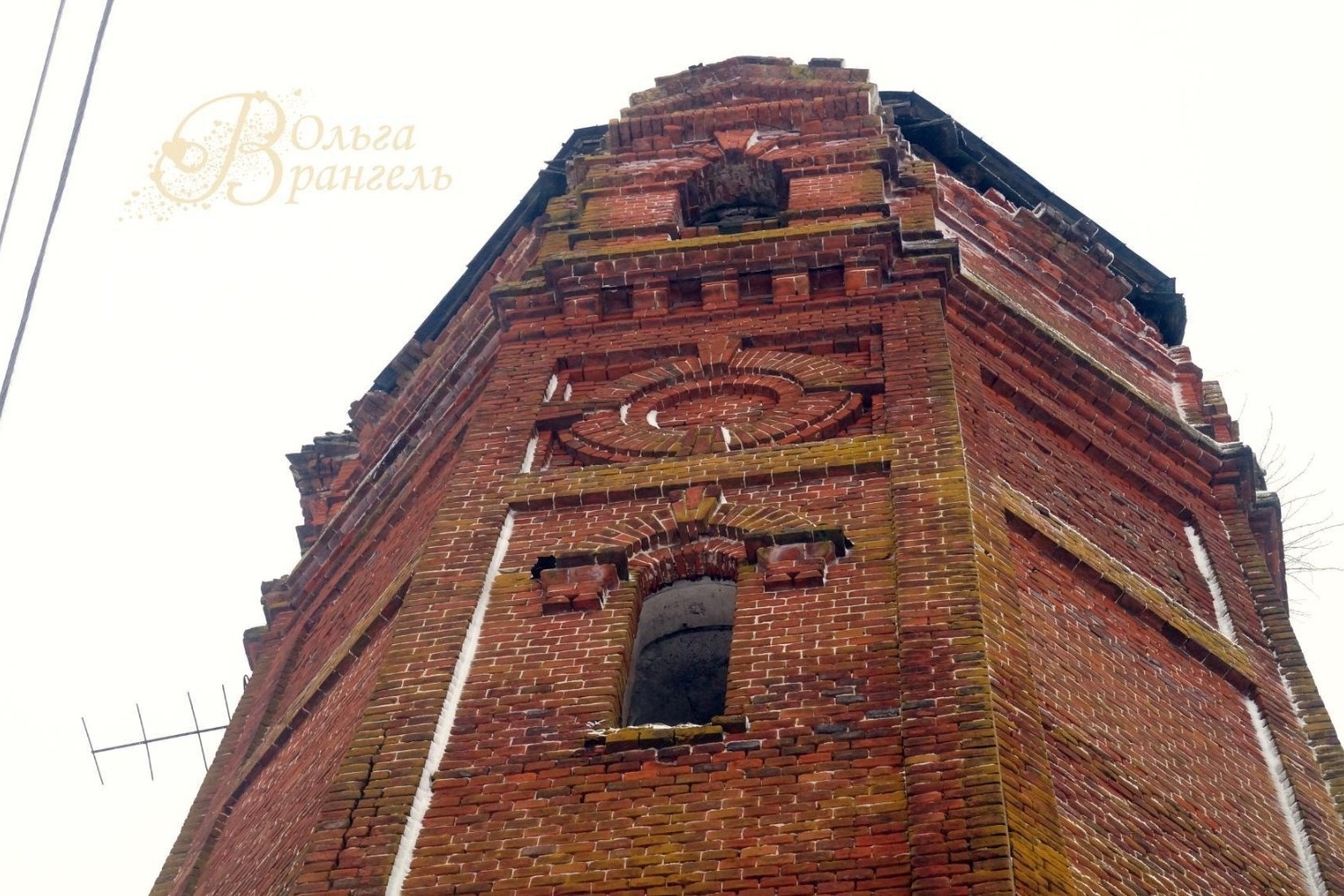 Асеевская конюшня. г. Рассказово. Эстетика руин, 2017 год